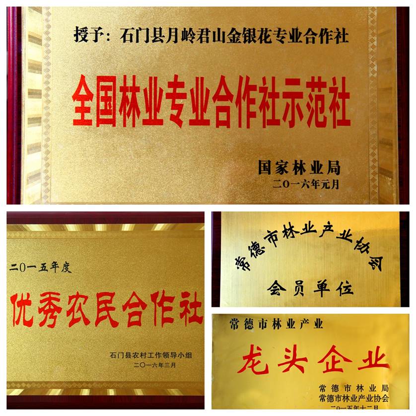 荣誉证书